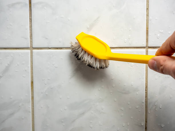 Best Health and Safety Mold Remediation in Paducah, TX
