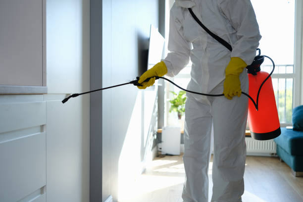 Best Mold Remediation for Schools in Paducah, TX